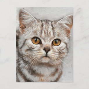 Katze Postkarte