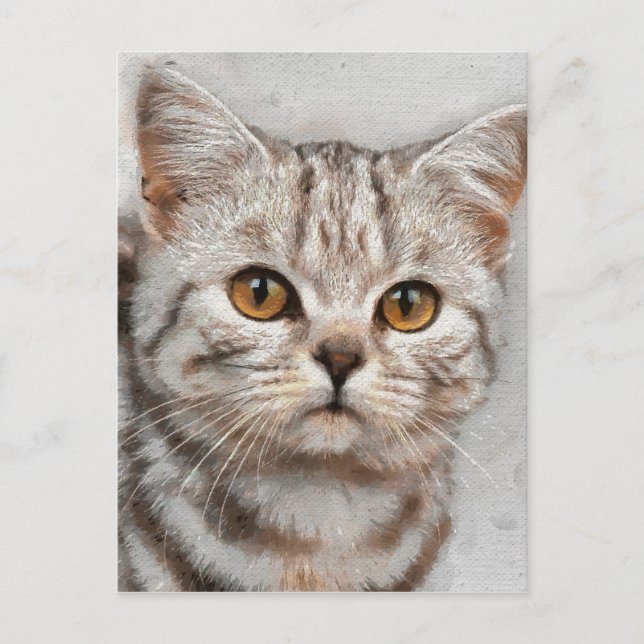 Katze Postkarte (Vorderseite)