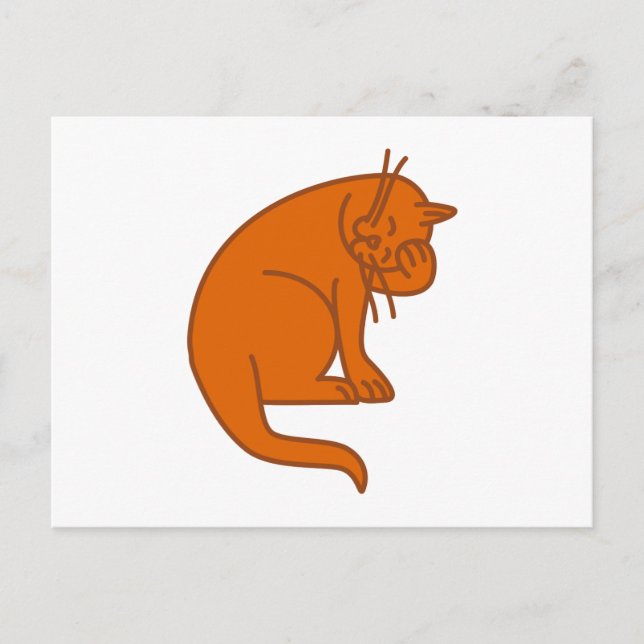 Katze Postkarte (Vorderseite)