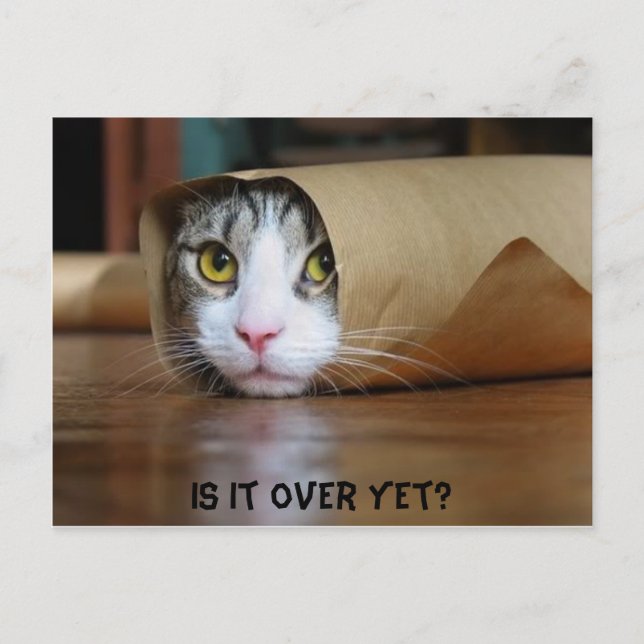 Katze Postkarte (Vorderseite)