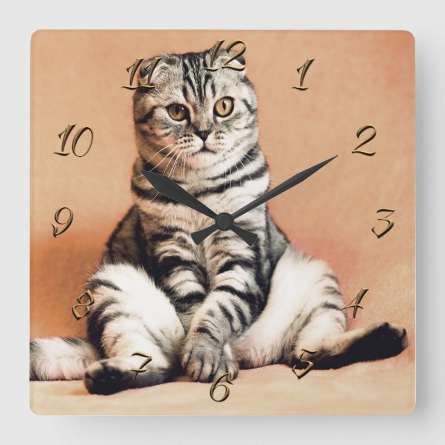Katze Quadratische Wanduhr (Vorderseite)