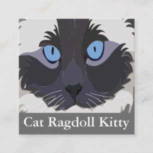 Katze Ragdoll Blaue Augen Quadratische Visitenkarte