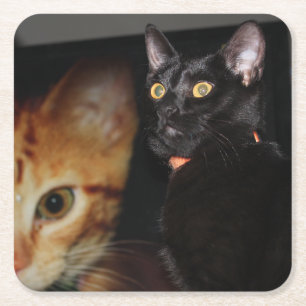 Katze Rechteckiger Pappuntersetzer