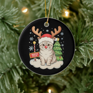 Katze Rentiergeweih Weihnachtsbaum Xmas Ferien Keramik Ornament