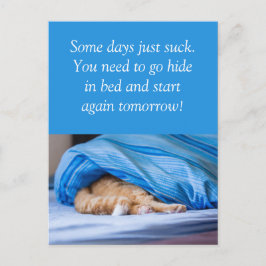 Katze rot Bett versteckt Some days suck Postkarte
