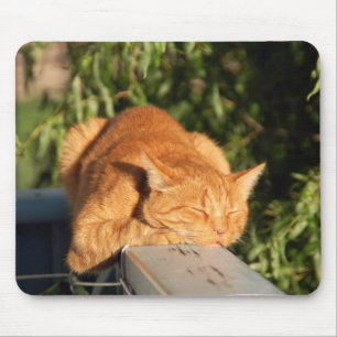Katze, rote Katze, Haustier Mousepad