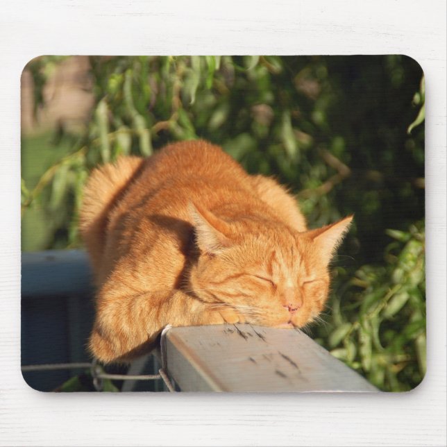 Katze, rote Katze, Haustier Mousepad (Vorne)