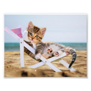 Katze ruht auf einem Liegestuhl Fotodruck