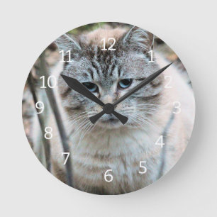 Katze Runde Wanduhr