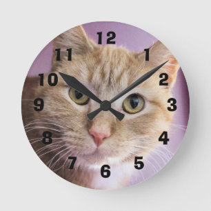 Katze Runde Wanduhr