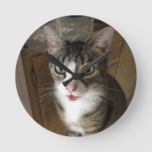 Katze Runde Wanduhr