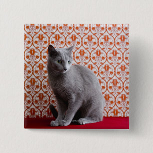 Katze (russisches Blau) und Tapetenhintergrund Button
