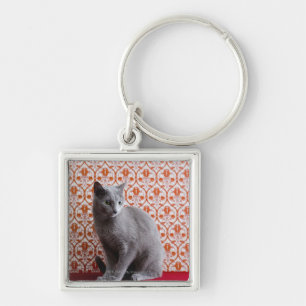 Katze (russisches Blau) und Tapetenhintergrund Schlüsselanhänger