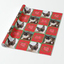 Katze Sankt kratzt Packpapier