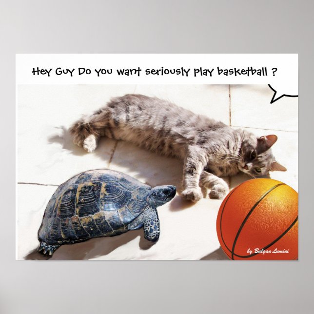 KATZE, SCHALTFLÄCHE UND BASKETBALL POSTER (Vorne)