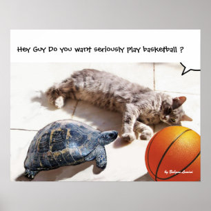 KATZE, SCHILDKRÖTE UND BASKETBALL POSTER
