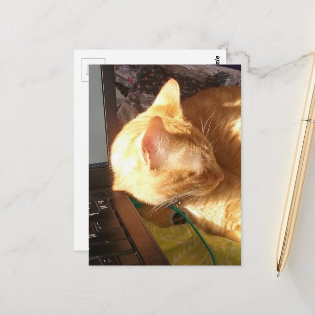 Katze schläft auf der Arbeit Postkarte (Vorderseite/Rückseite Beispiel)