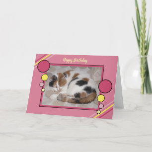Katze schlief eingeschlafen Foto pink gelb Geburts Karte