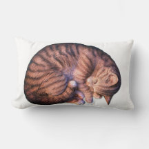 Katze schlief niedliches, gemütliches Lendenkissen