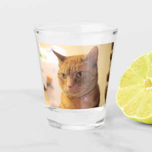 Katze Schnapsglas