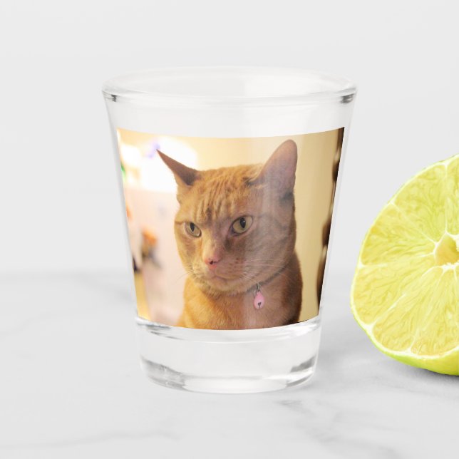 Katze Schnapsglas (Vorderseite)