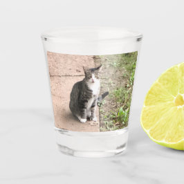 Katze Schnapsglas
