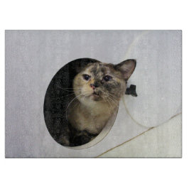 Katze Schneidebrett