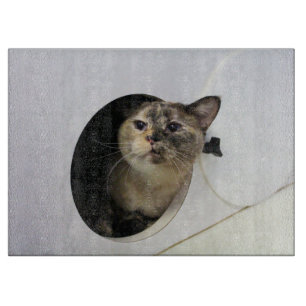 Katze Schneidebrett