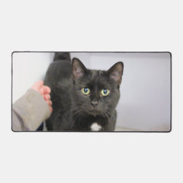 Katze Schreibtischunterlage