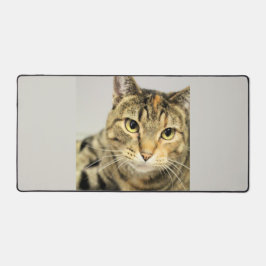 Katze Schreibtischunterlage
