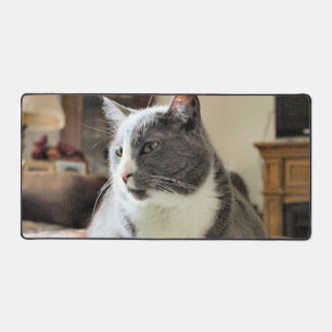 Katze Schreibtischunterlage