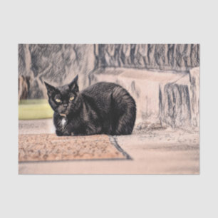 Katze Schwarz Süß Vintage Antik Skizze Kunst Seidenpapier