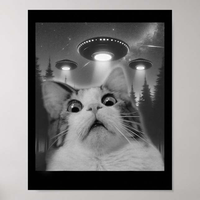 Katze Selfie mit Ufos Poster (Vorne)