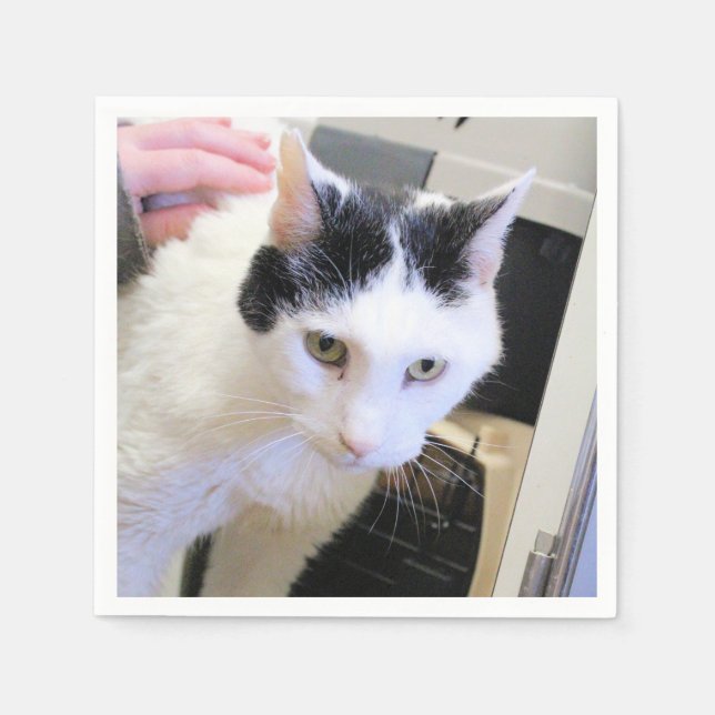 Katze Serviette (Vorderseite)