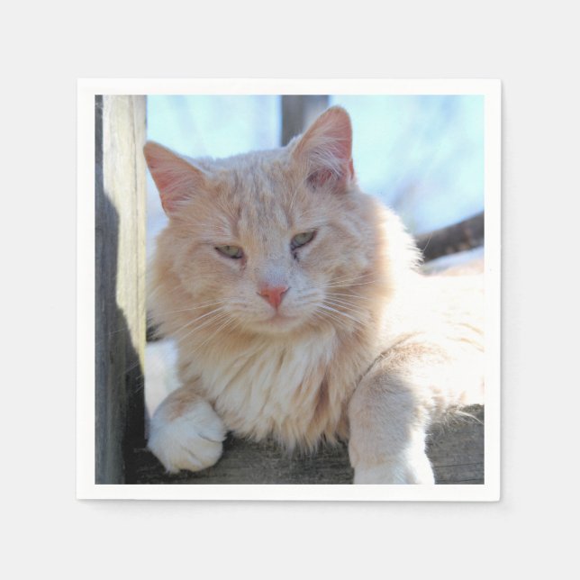 Katze Serviette (Vorderseite)