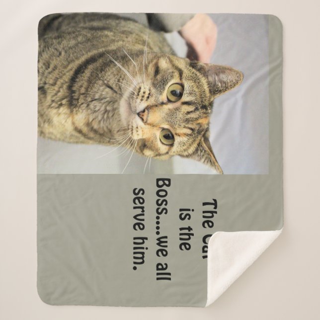 Katze Sherpadecke (Vorderseite)