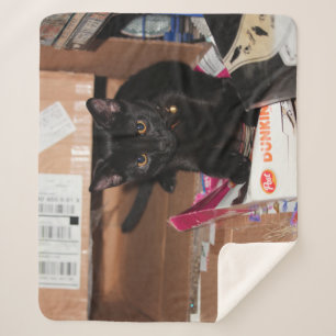 Katze Sherpadecke