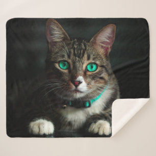 Katze Sherpadecke