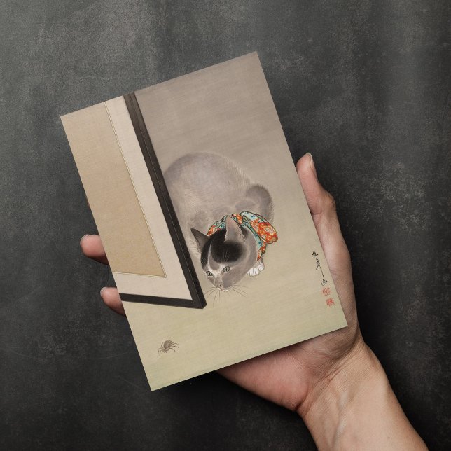 Katze sieht eine Spinne an | Oide Tōkō Karte (Von Creator hochgeladen)