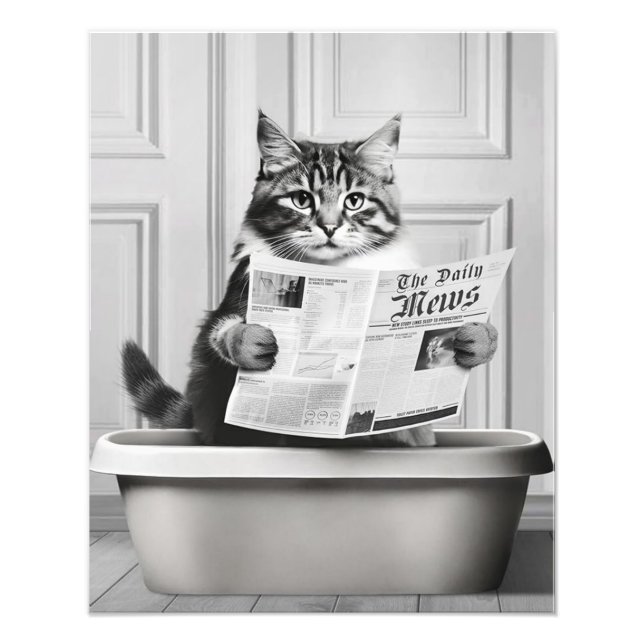 Katze sitzt auf der Toilette und liest eine Nachri Fotodruck (Vorne)