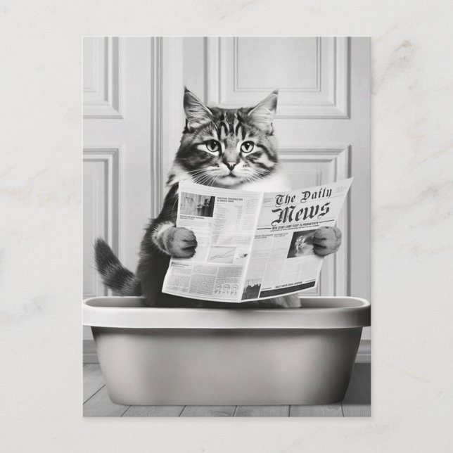 Katze sitzt auf der Toilette und liest eine Nachri Postkarte (Vorderseite)