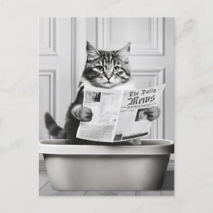 Katze sitzt auf der Toilette und liest Nachrichten Postkarte