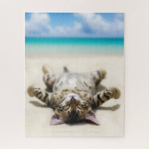 Katze Sonnenbaden am Strand