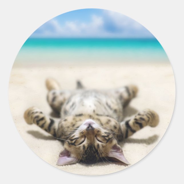 Katze Sonnenbaden am Strand Runder Aufkleber (Vorderseite)