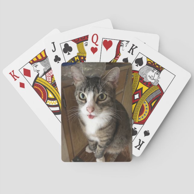 Katze Spielkarten (Rückseite)