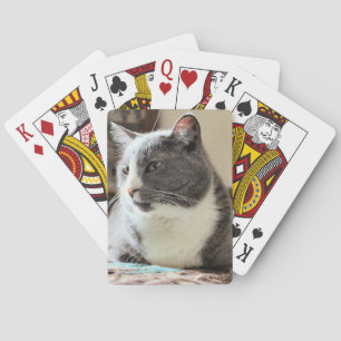 Katze Spielkarten