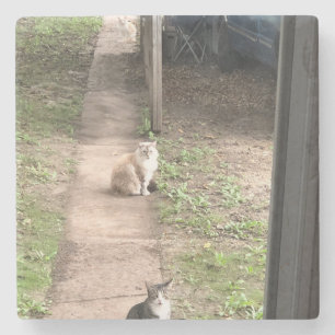 Katze Steinuntersetzer