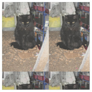 Katze Stoff