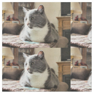Katze Stoff