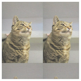 Katze Stoff